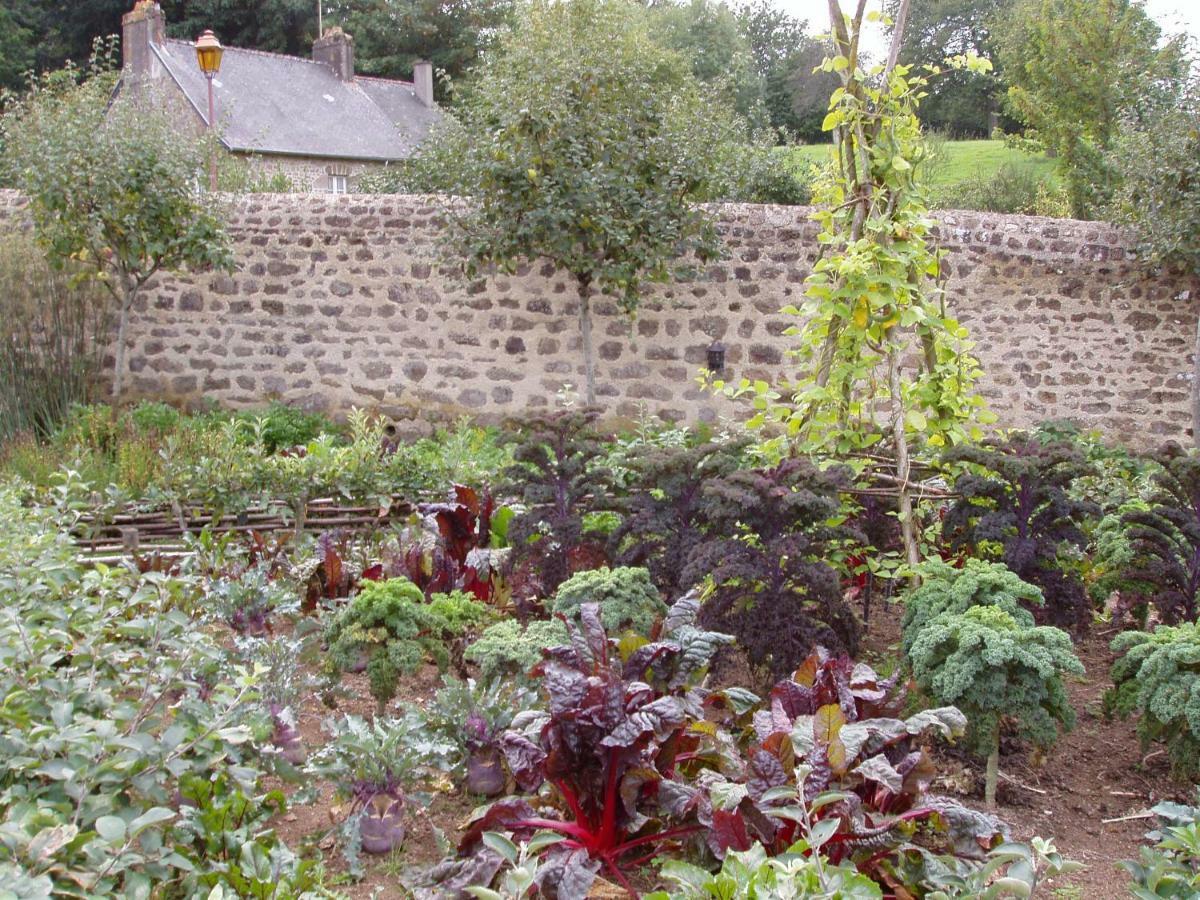 Chambres D'Hotes La Belle Taille Lassay-les-Chateaux Bagian luar foto